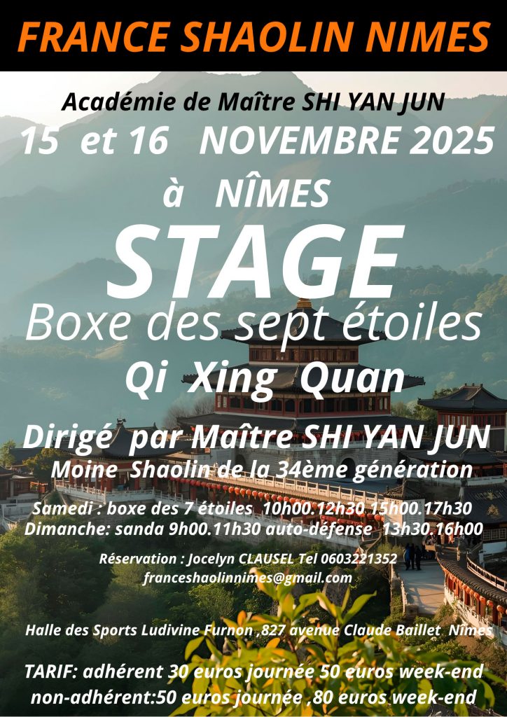 Stage Boxe des sept étoiles : Qi Xing Quan dirigé par Maître Shi Yan Jun à Nîmes