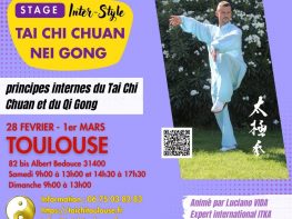 🌀 Stage Inter-Style Tai Chi Chuan & Nei Gong – Toulouse {{brizy_dc_image_alt entityId=