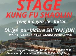 Stage de Kung Fu Shaolin à Nîmes